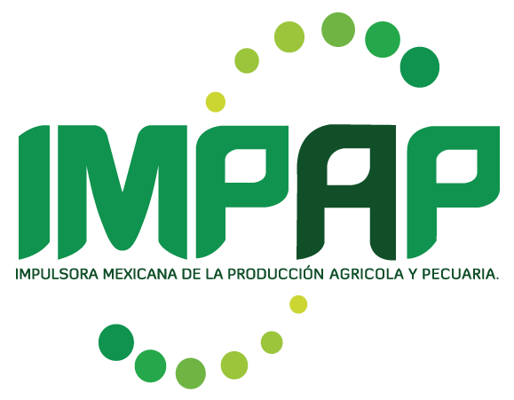IMPAP